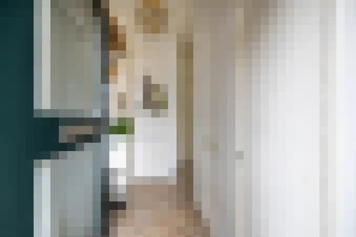 Bornsestraat 259 Almelo thumbnail 6