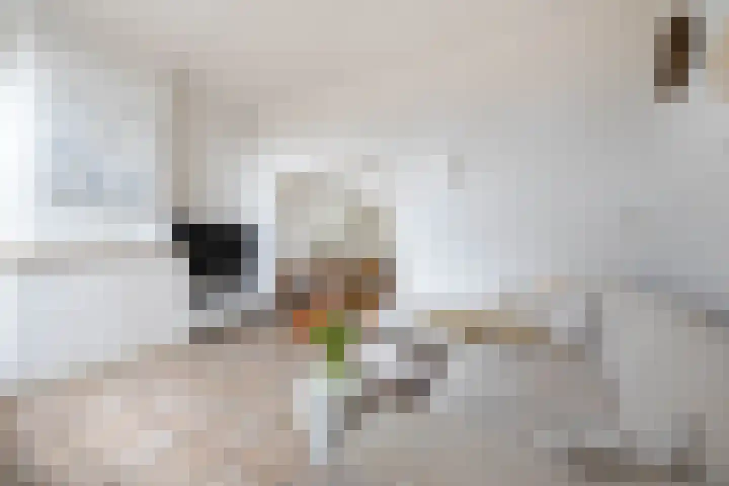 Bornsestraat 259 Almelo thumbnail 7