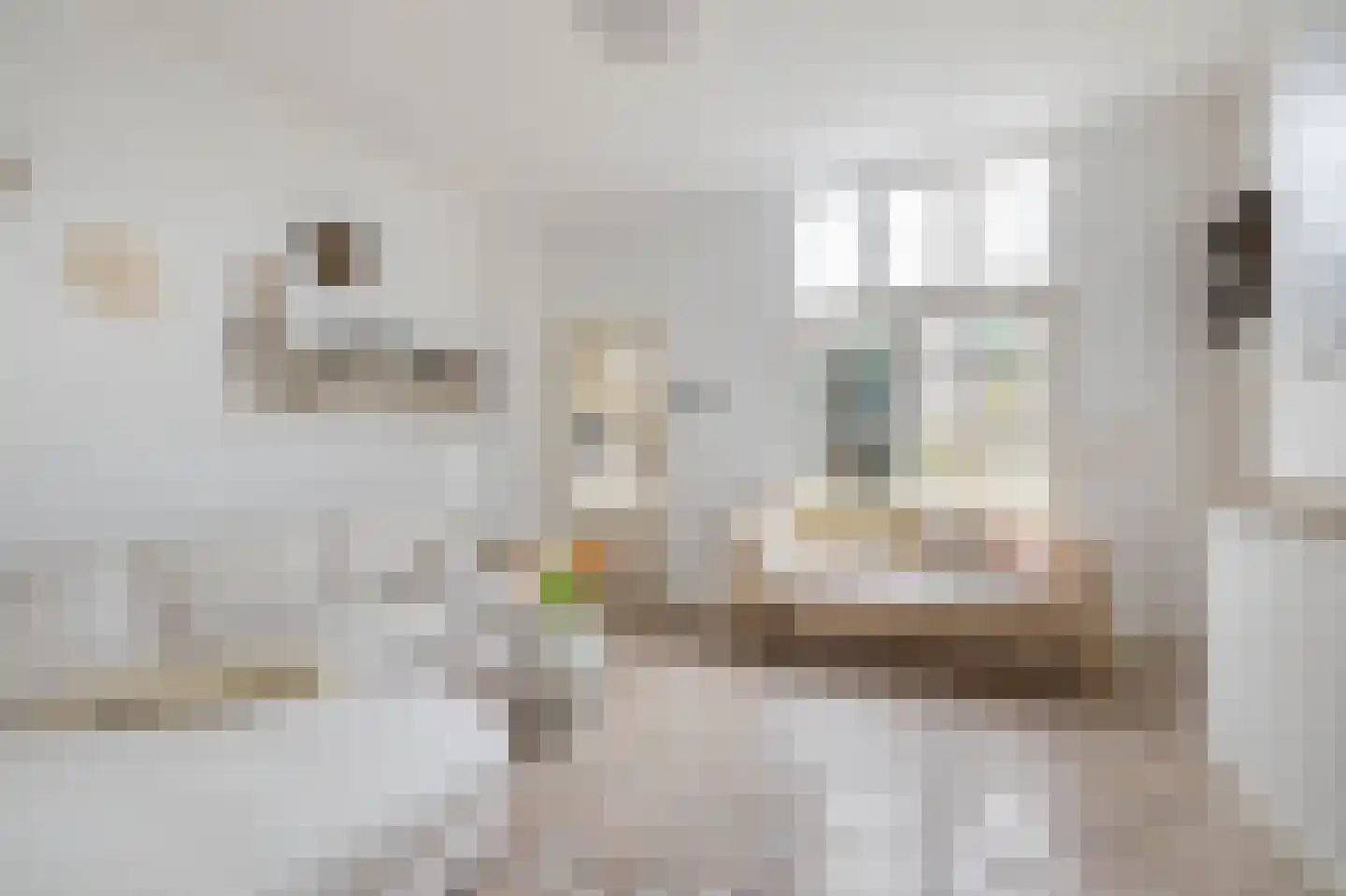 Bornsestraat 259 Almelo thumbnail 8