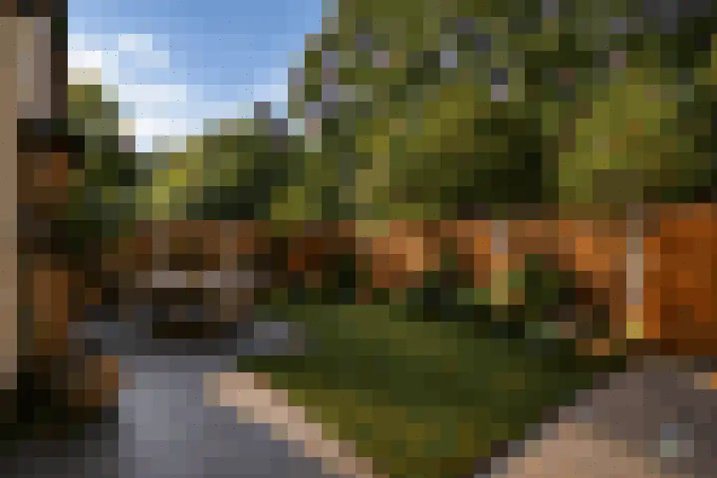 Bornsestraat 294 Hengelo thumbnail 20