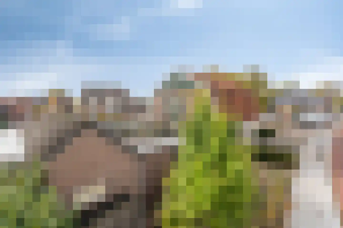 Bornsestraat 31 Bornerbroek thumbnail 31