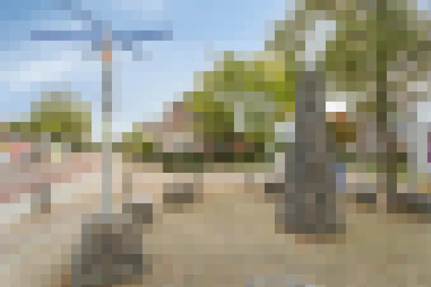 Bornsestraat 31 Bornerbroek thumbnail 33