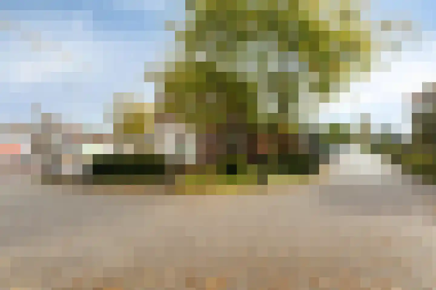 Bornsestraat 31 Bornerbroek thumbnail 36