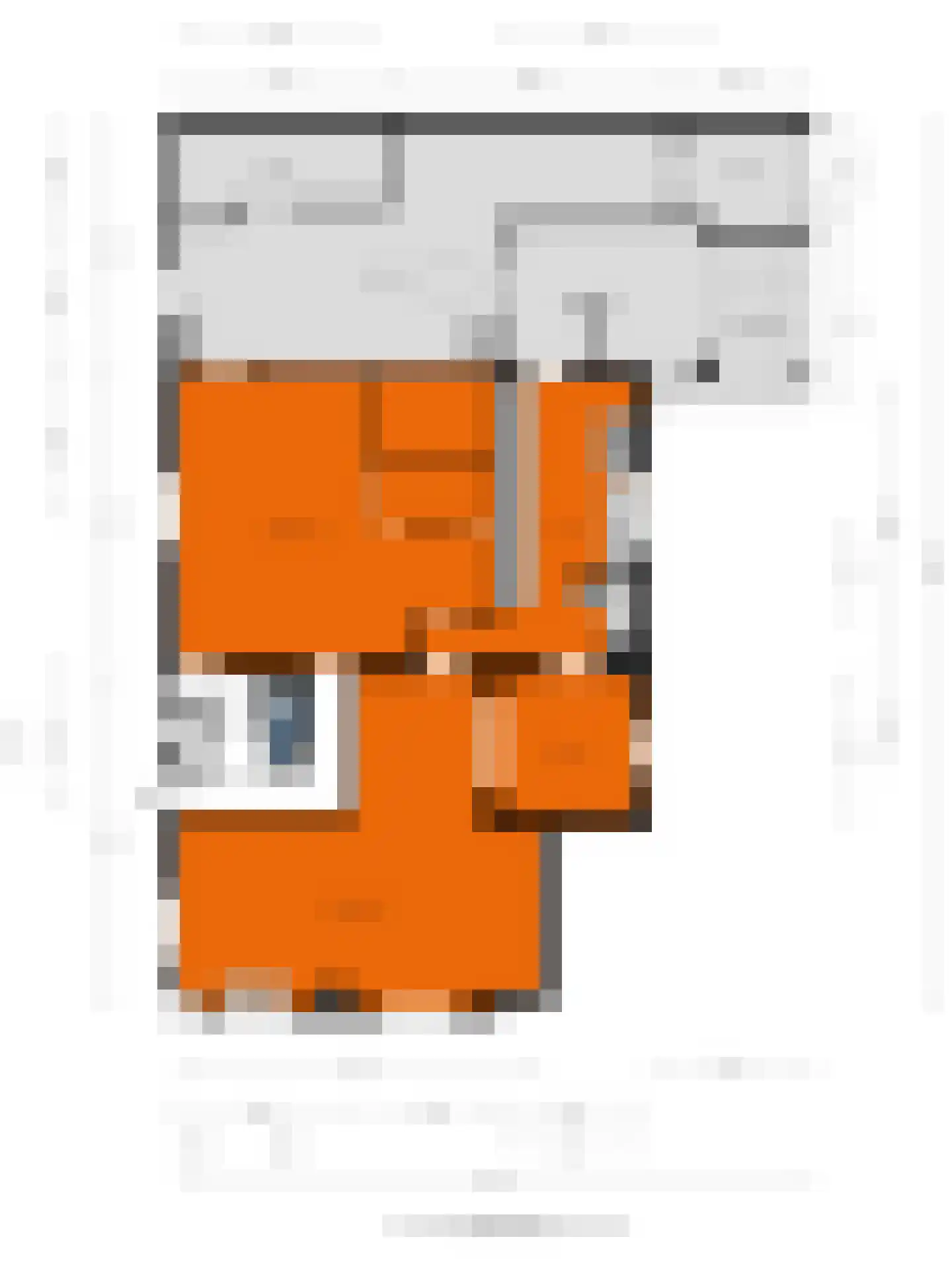 Bornsestraat 31 Bornerbroek thumbnail 37