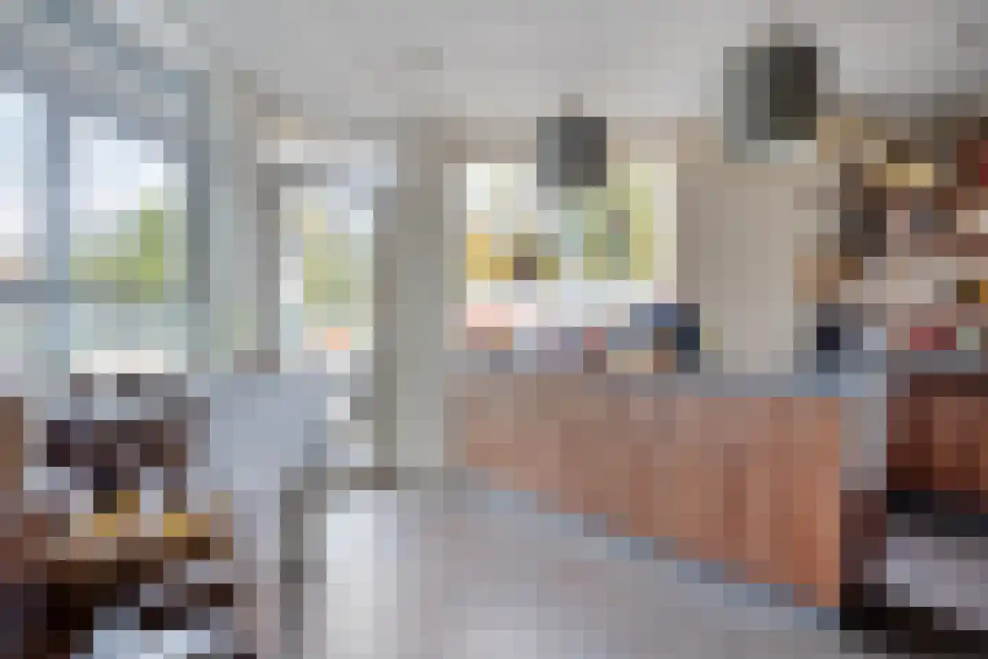 Bornsestraat 31 Bornerbroek thumbnail 5