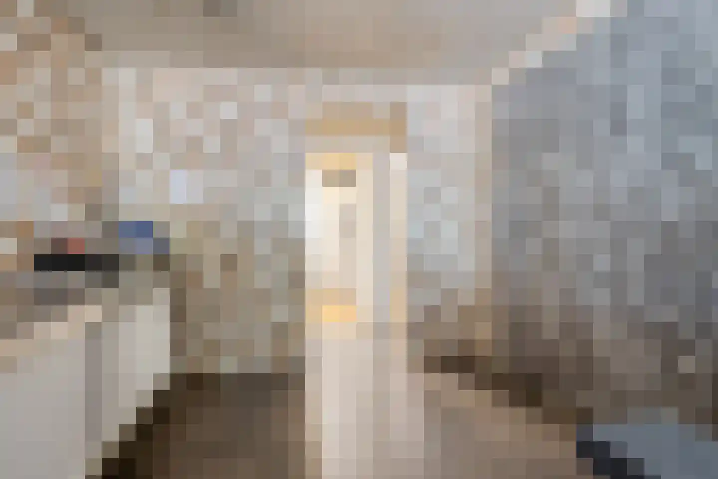 Bornsestraat 31 Bornerbroek thumbnail 7
