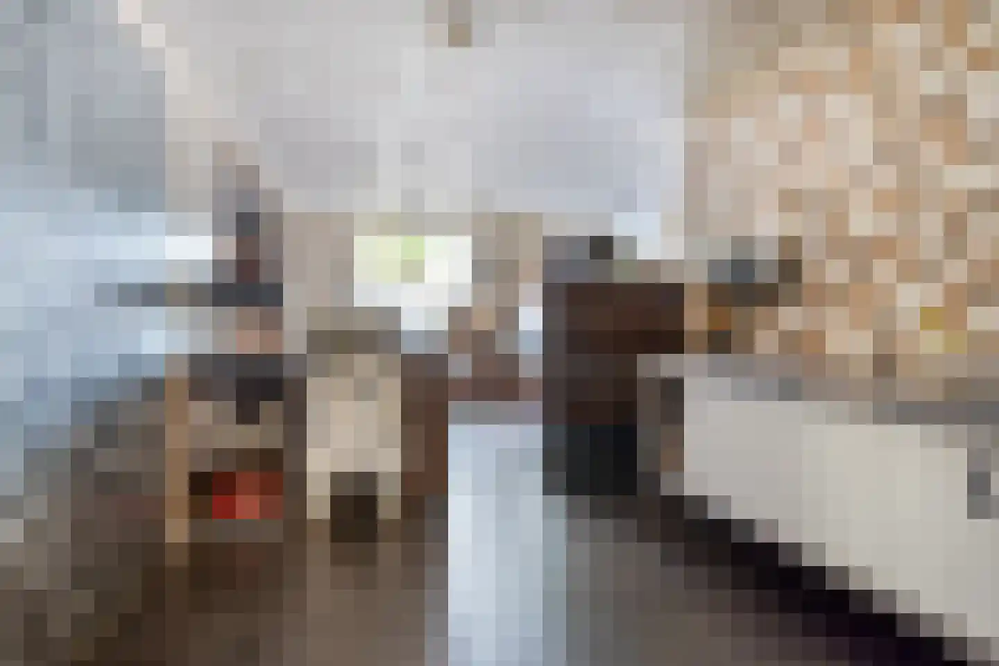 Bornsestraat 31 Bornerbroek thumbnail 8