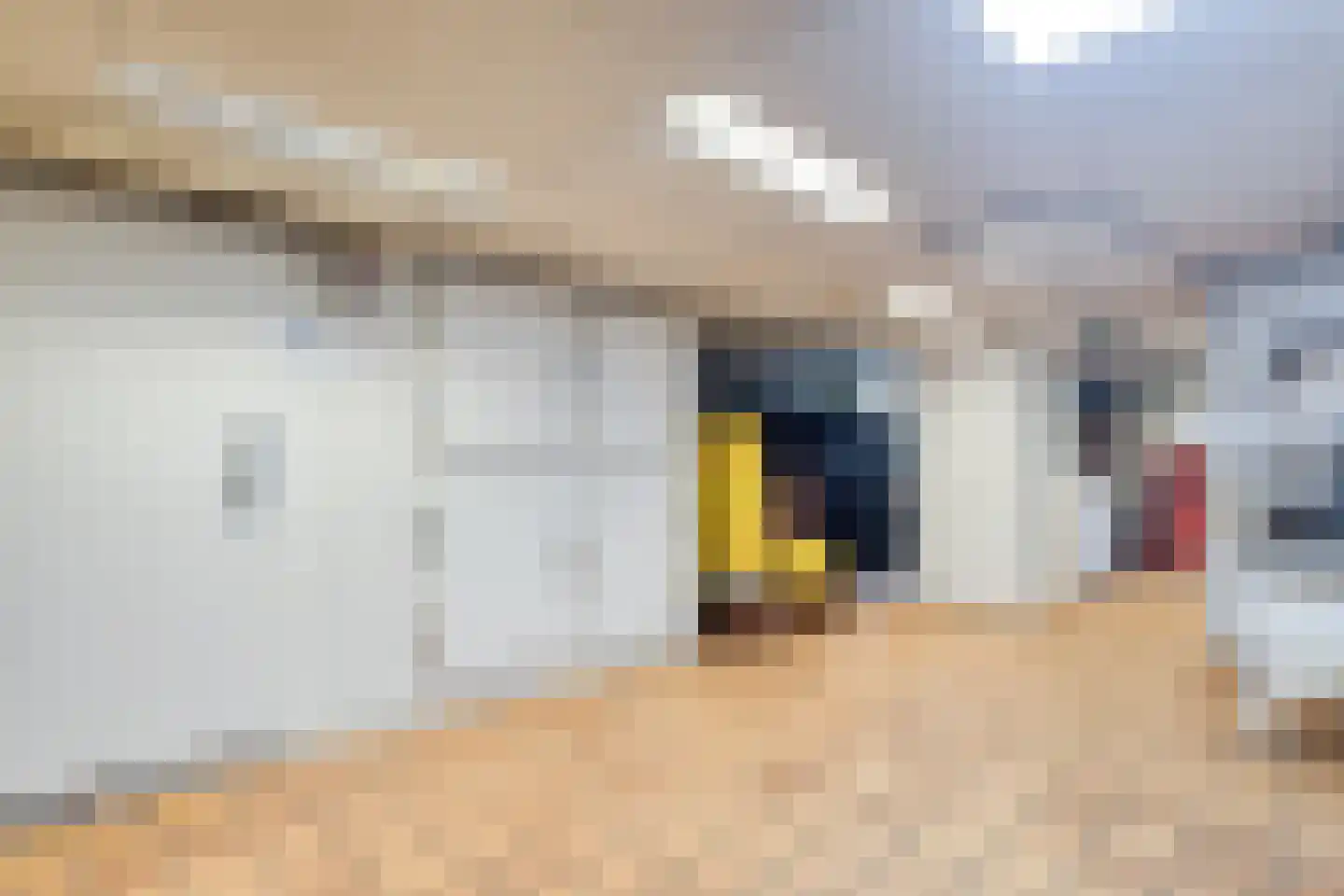 Bornsestraat 31 Bornerbroek thumbnail 9