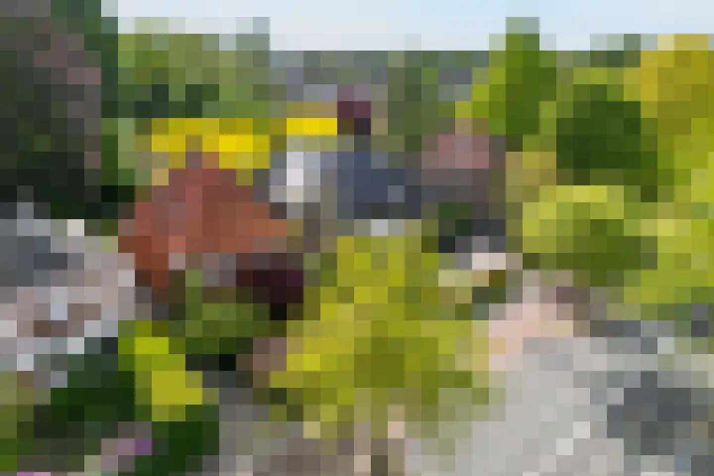 Bornsestraat 33 Hengelo thumbnail 37