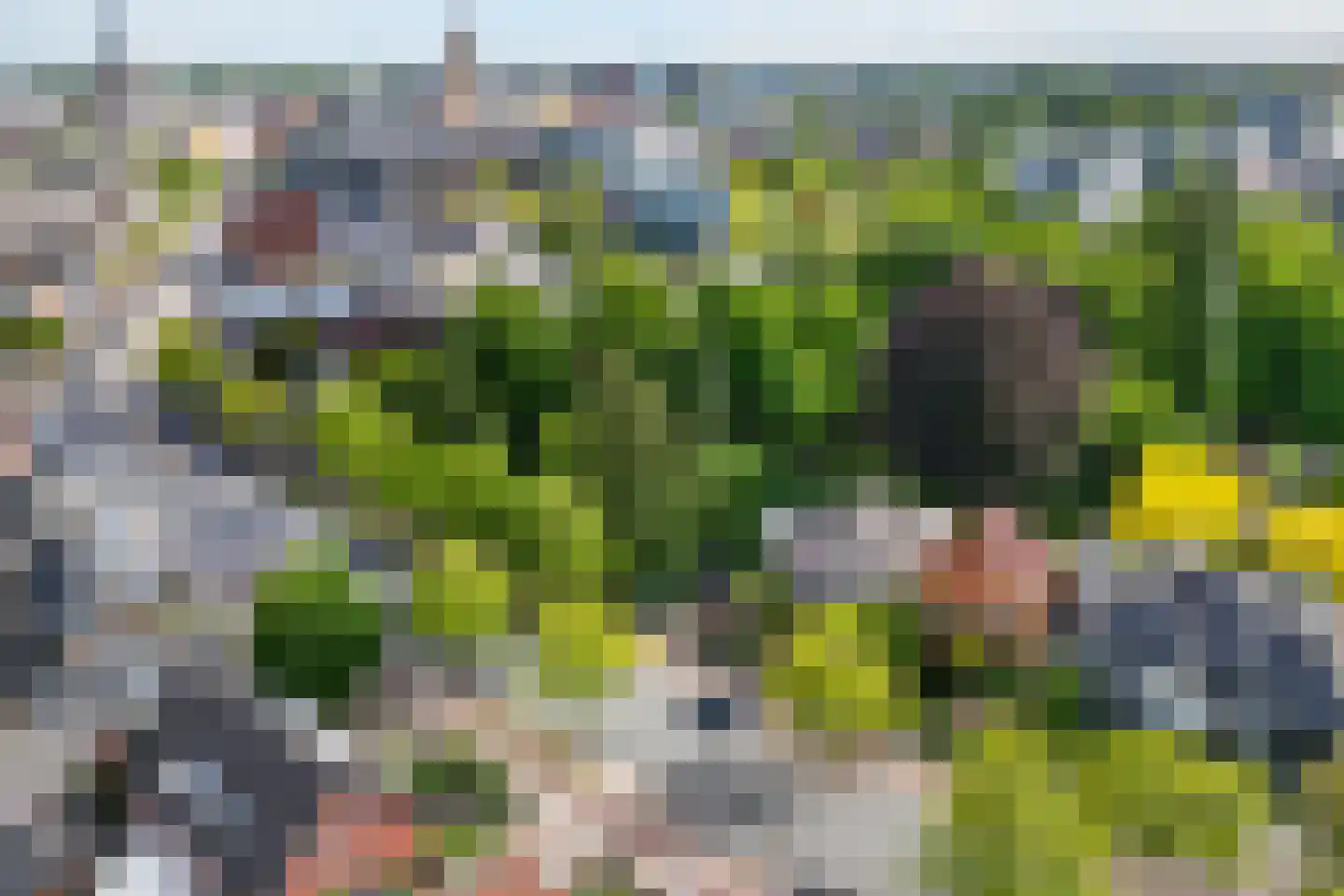 Bornsestraat 33 Hengelo thumbnail 38