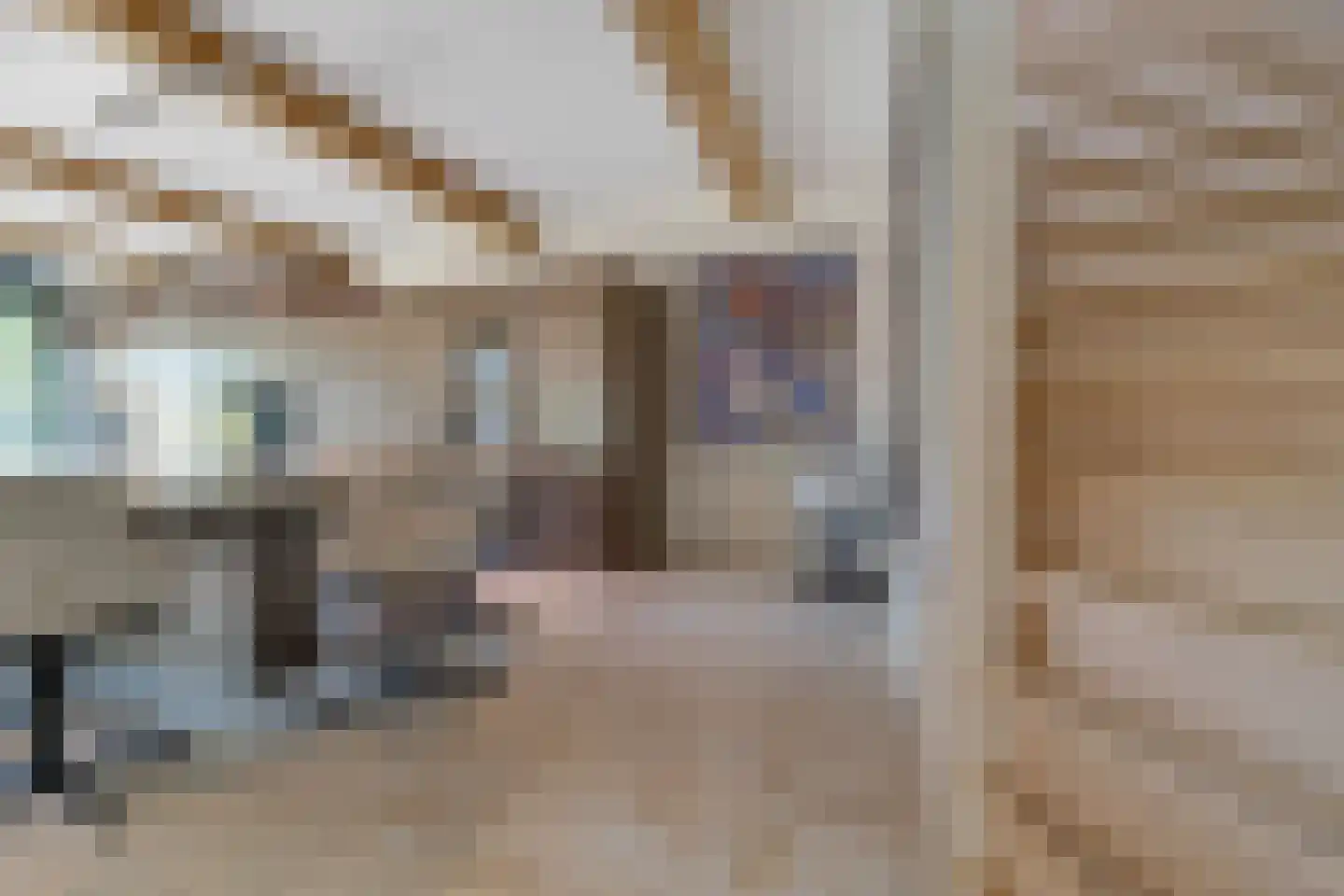 Bornsestraat 376 Almelo thumbnail 21