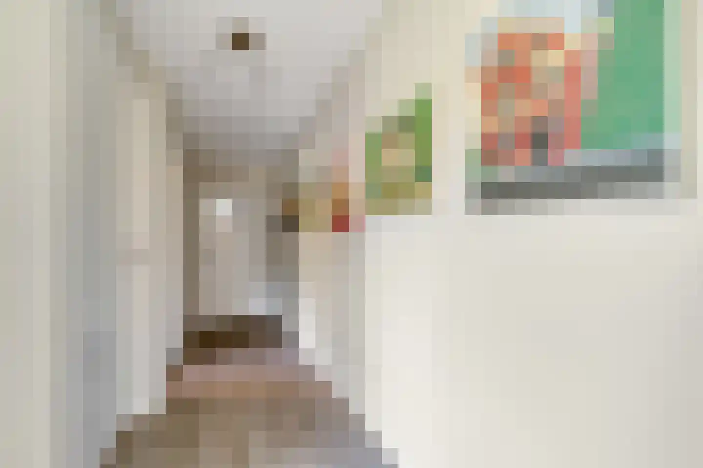 Bornsestraat 376 Almelo thumbnail 22