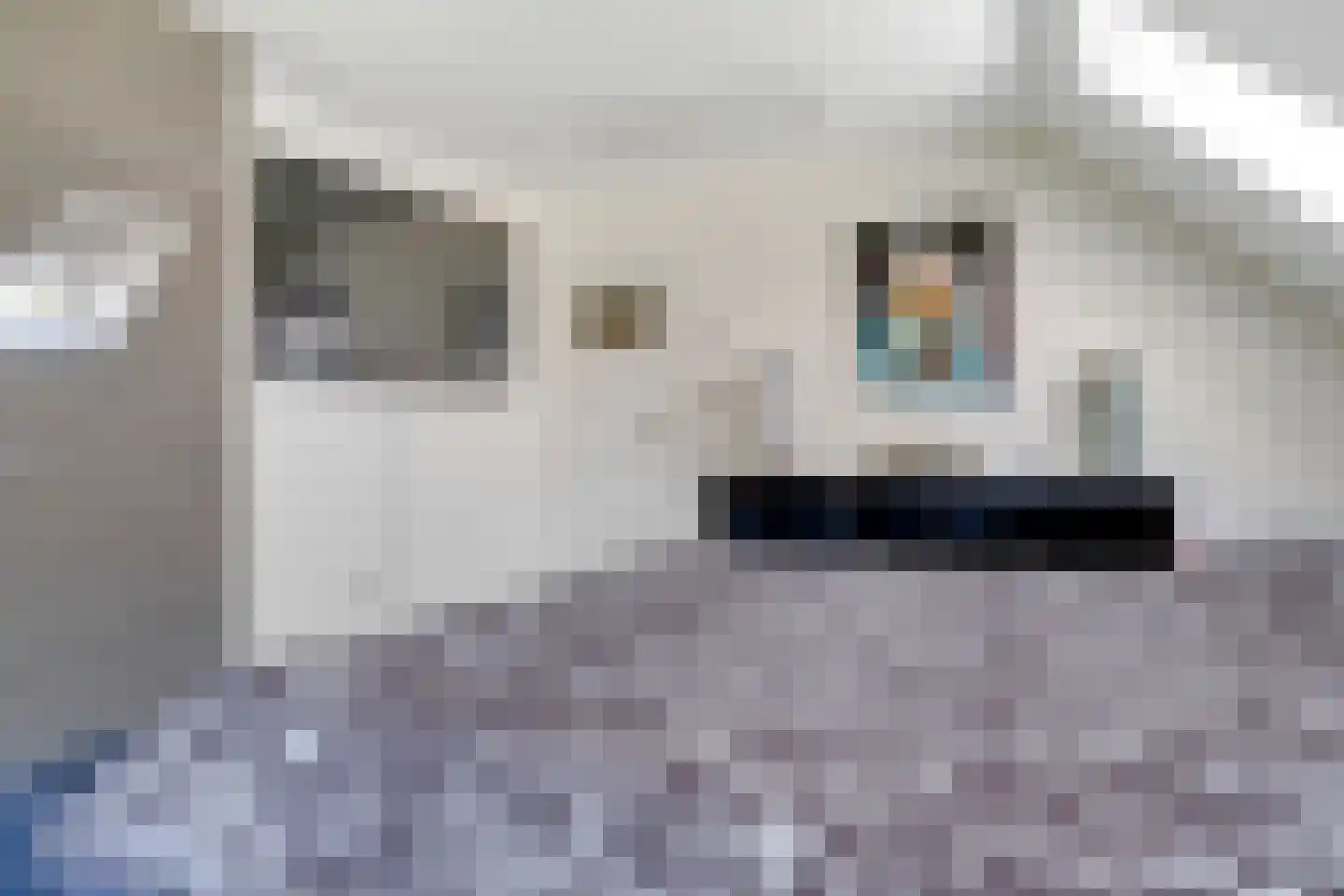 Bornsestraat 376 Almelo thumbnail 26