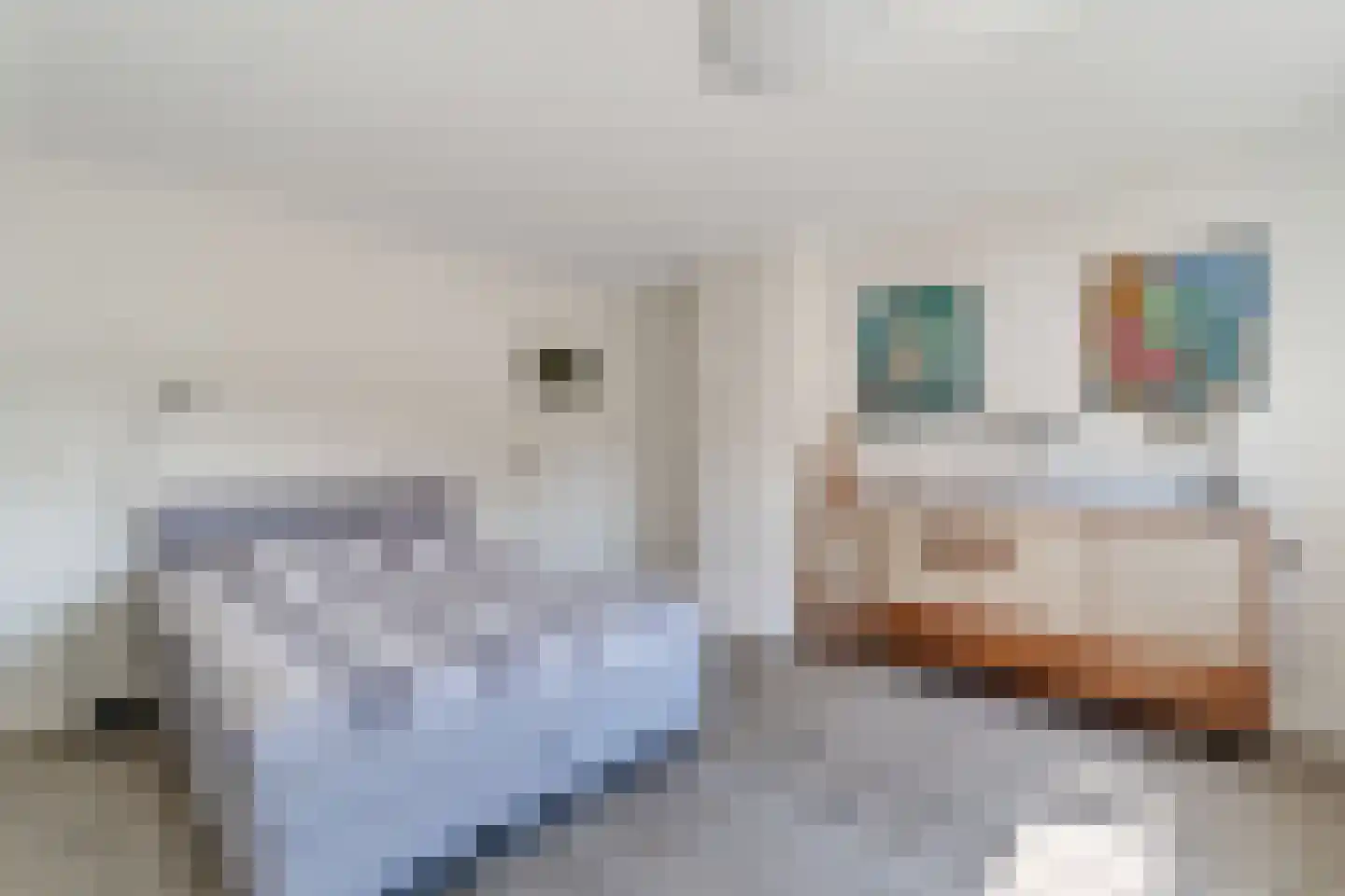 Bornsestraat 376 Almelo thumbnail 32