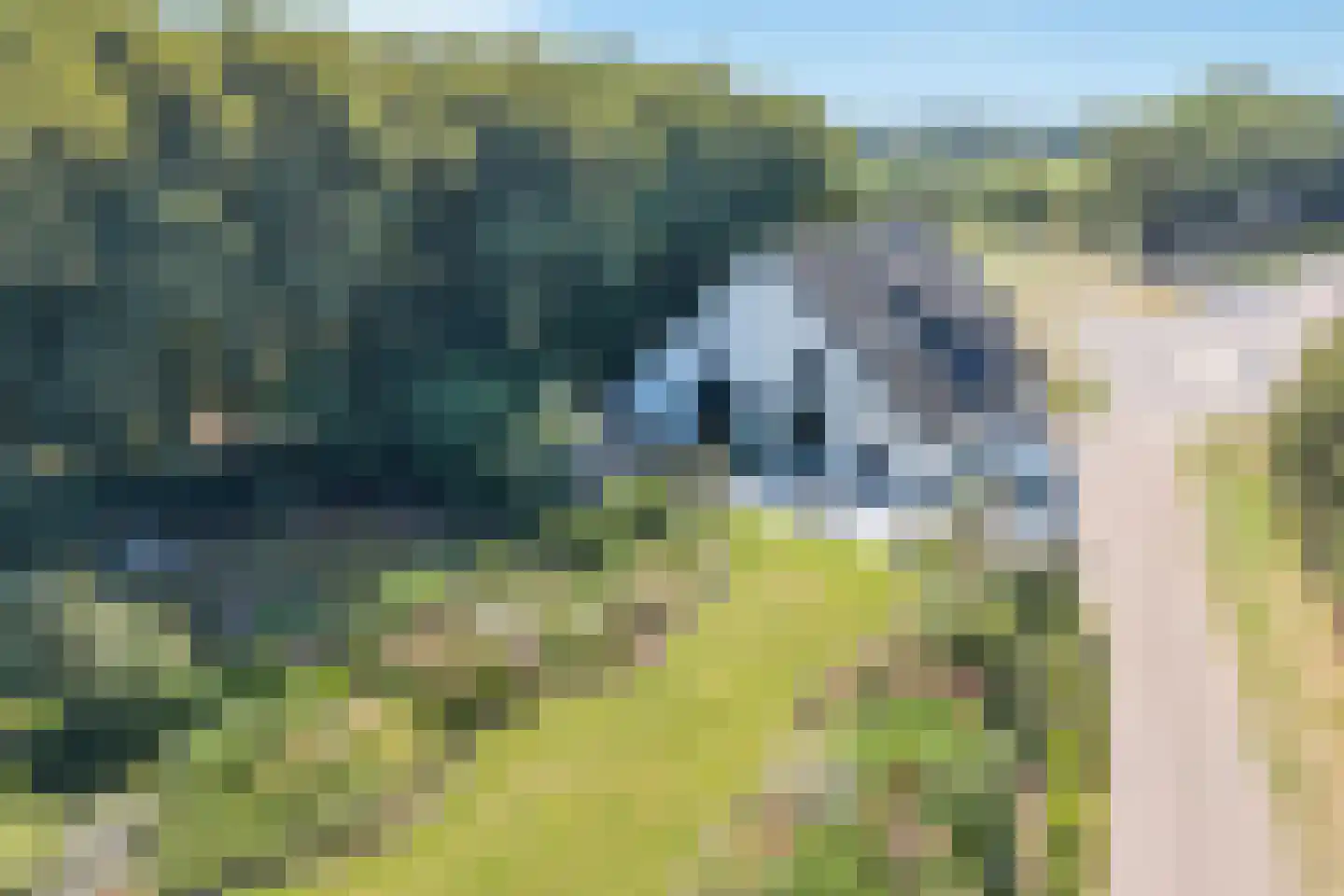 Bornsestraat 376 Almelo thumbnail 42