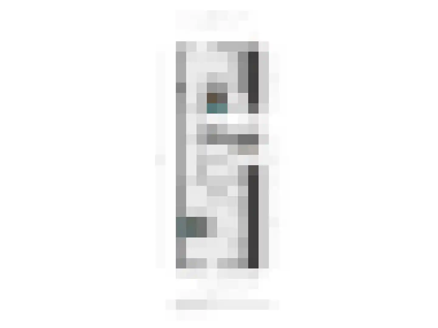 Bornsestraat 376 Almelo thumbnail 46