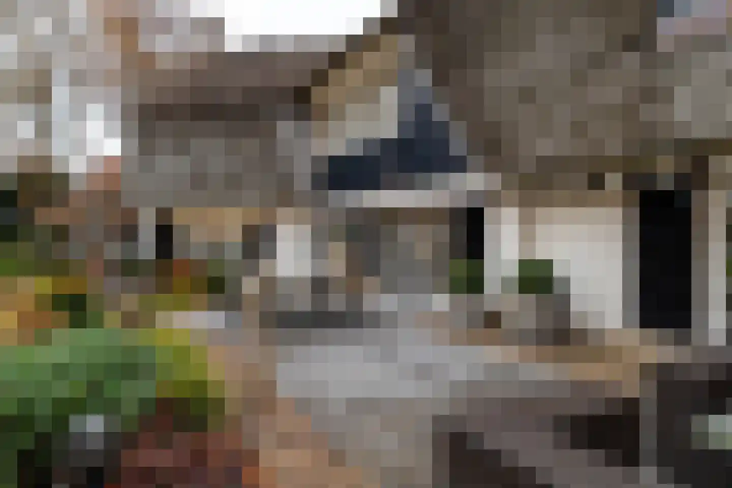 Bornsestraat 380 Almelo thumbnail 25
