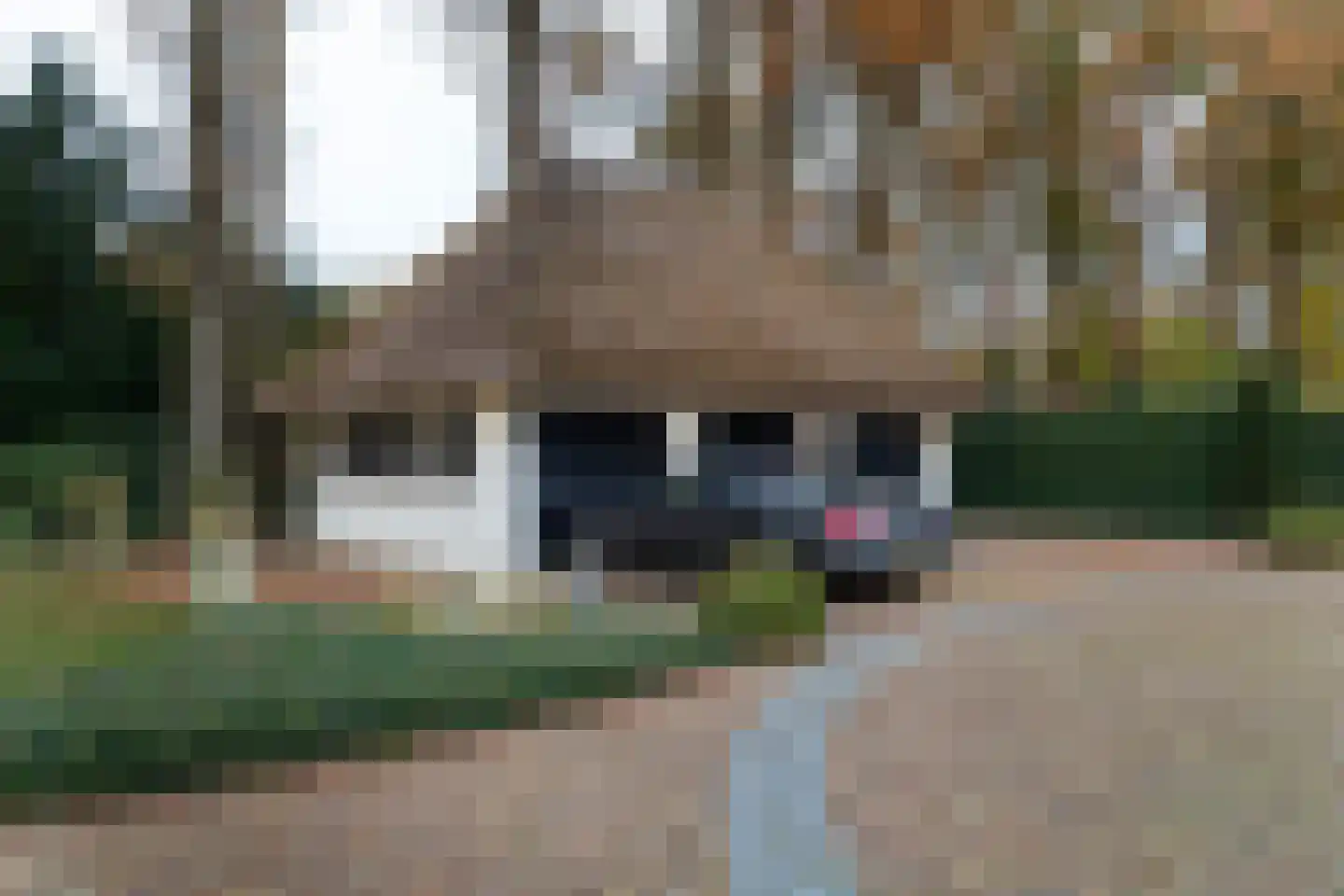 Bornsestraat 380 Almelo thumbnail 30