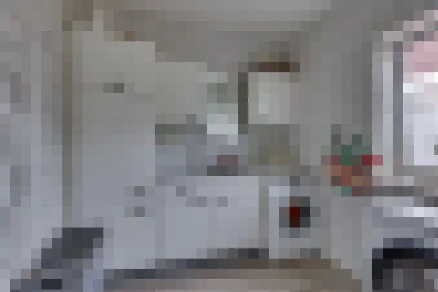 Bornsestraat 48 A Saasveld thumbnail 18