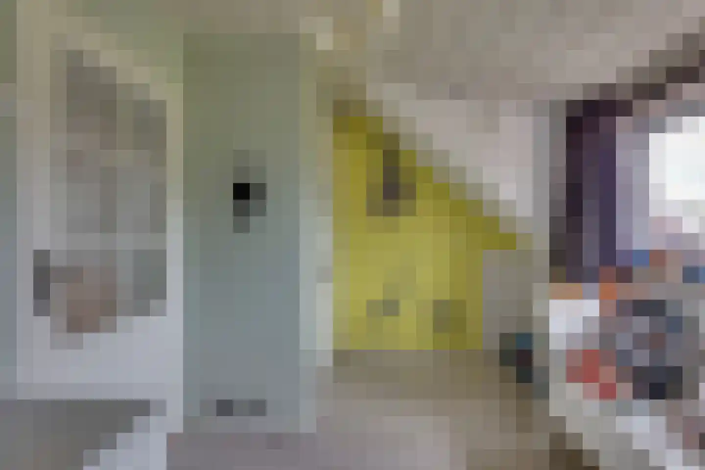 Bornsestraat 48 A Saasveld thumbnail 30