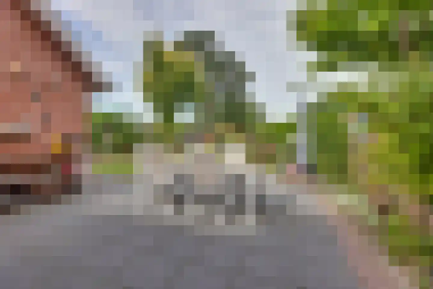 Bornsestraat 48 A Saasveld thumbnail 35