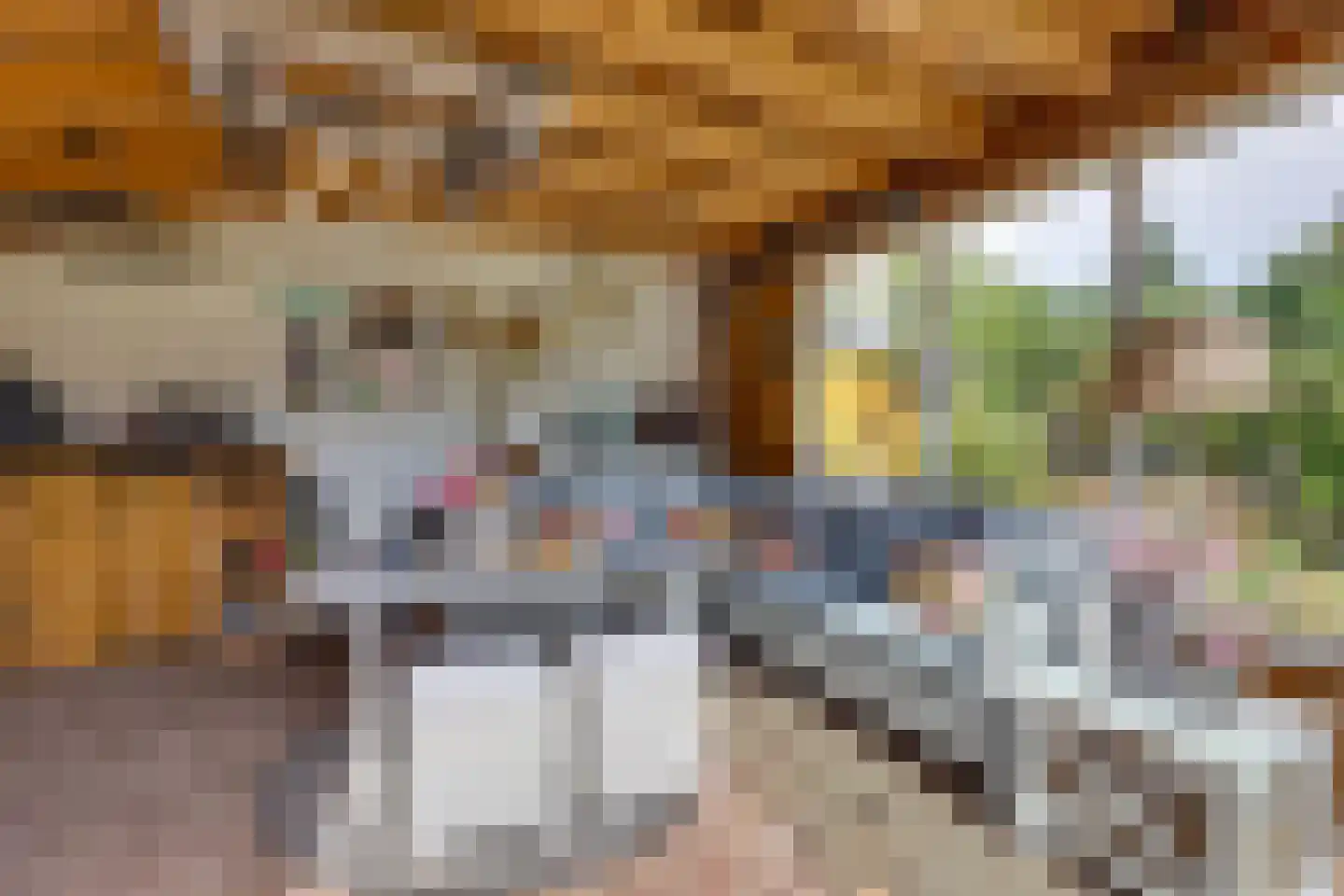 Bornsestraat 48 A Saasveld thumbnail 38