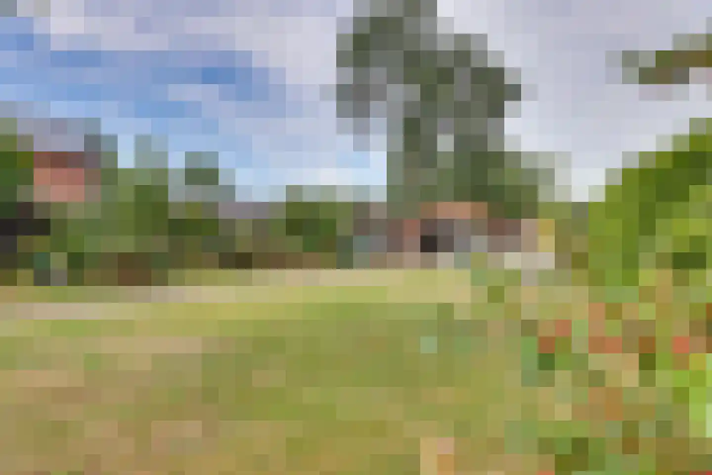 Bornsestraat 48 A Saasveld thumbnail 4