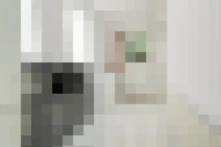 Bornsestraat 63 Hengelo thumbnail 31