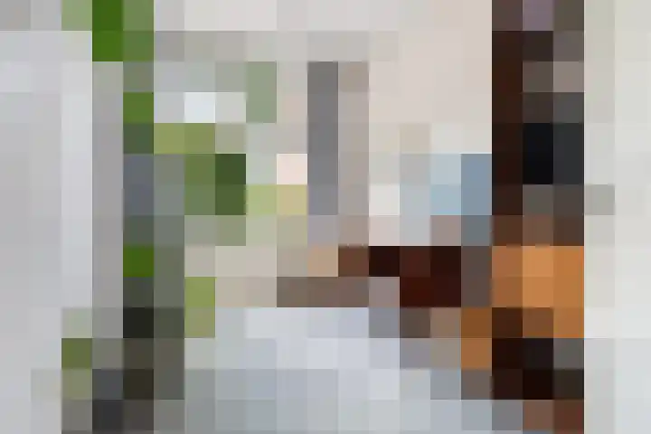 Bornsestraat 63 Hengelo thumbnail 47