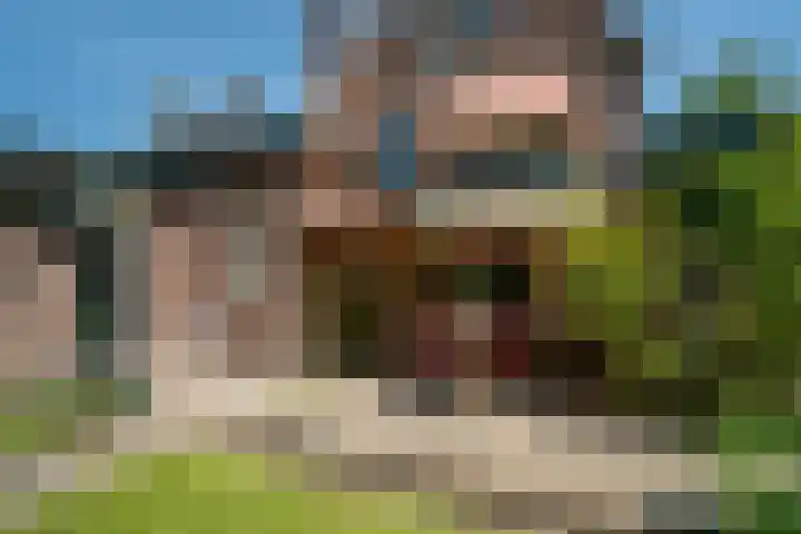 Bornsestraat 63 Hengelo thumbnail 57