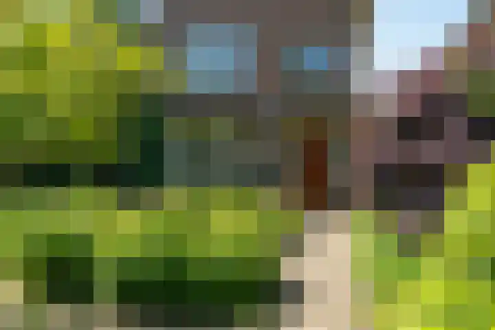 Bornsestraat 63 Hengelo thumbnail 6