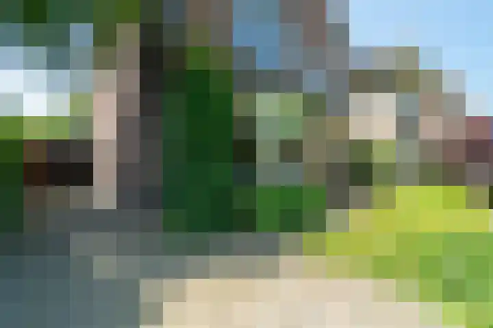 Bornsestraat 63 Hengelo thumbnail 7