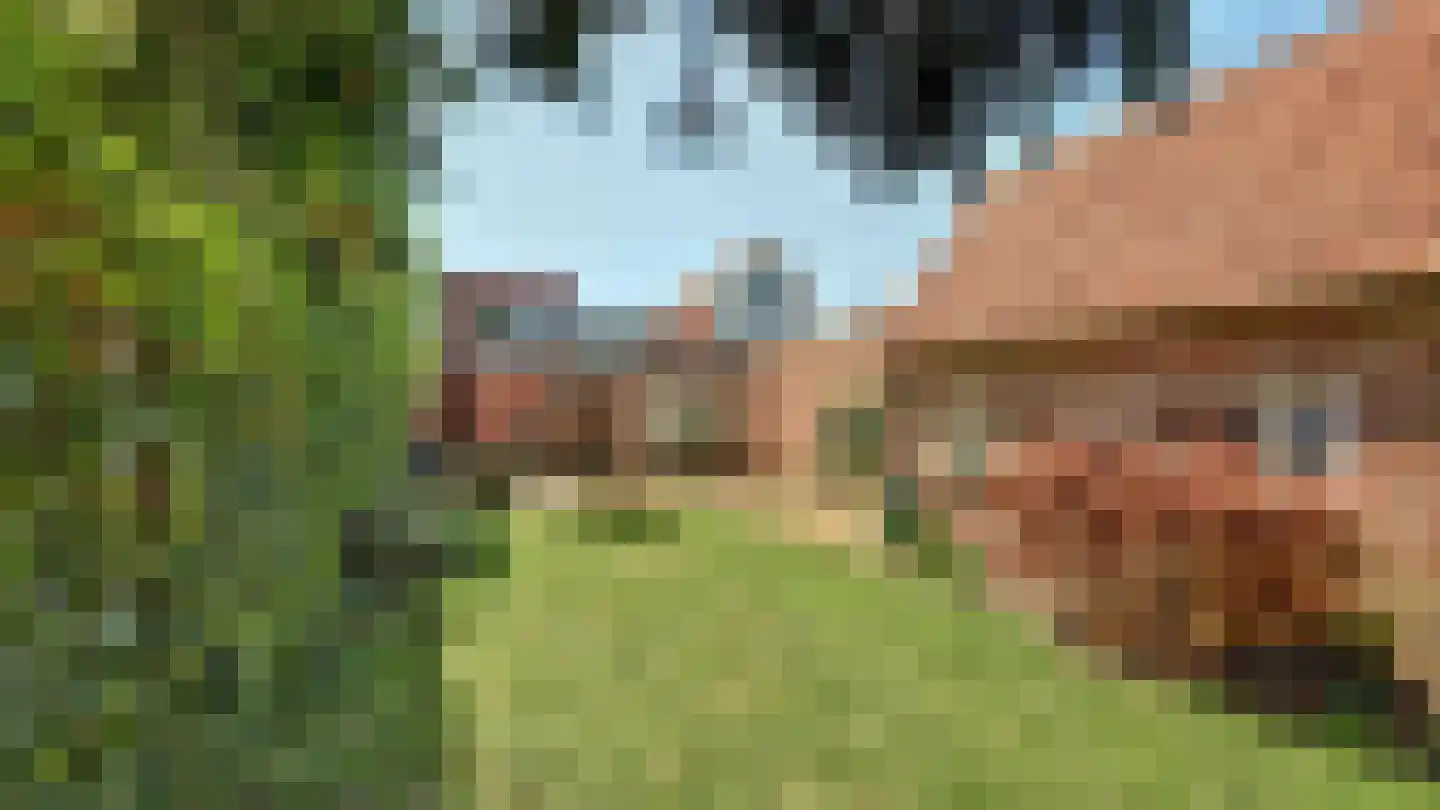 Bornsestraat 64 Almelo thumbnail 16