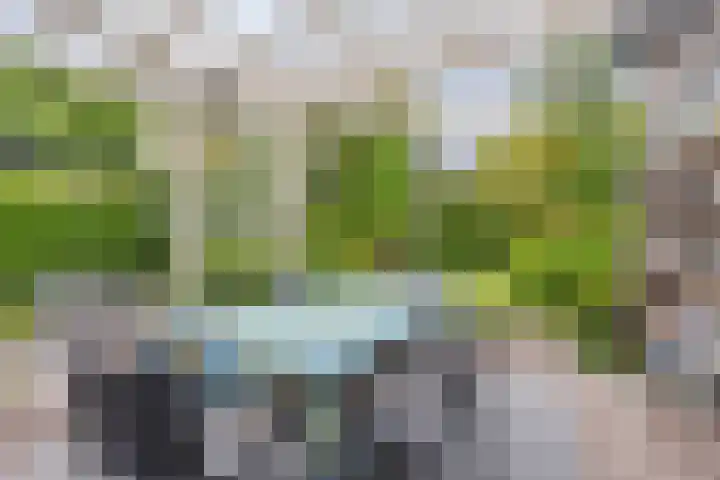 Bornsestraat 65 Hengelo thumbnail 47