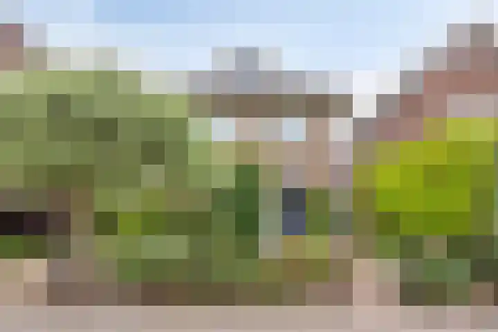 Bornsestraat 65 Hengelo thumbnail 7