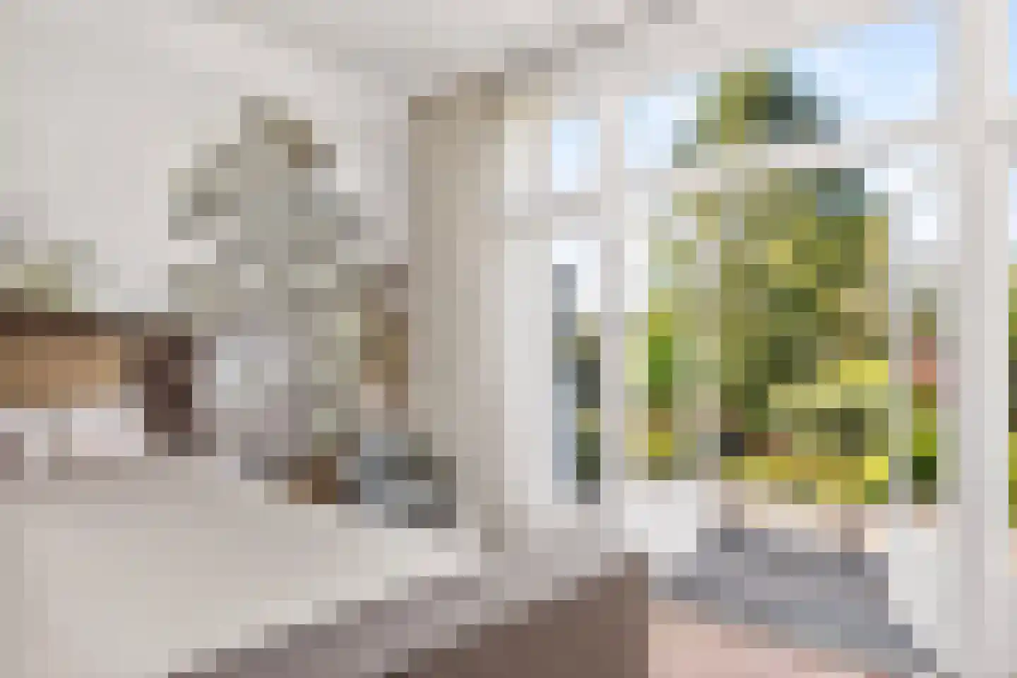 Bornsestraat 73 Hengelo thumbnail 30