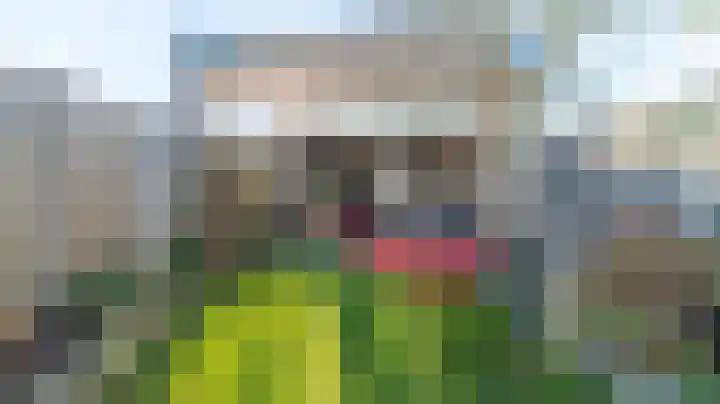 Bornsestraat 75 Almelo thumbnail 24