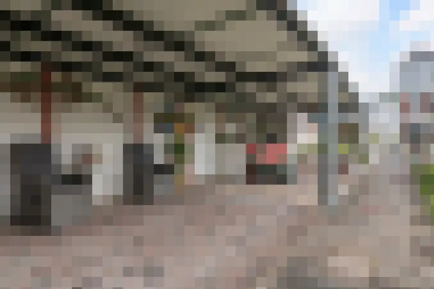 Bornsestraat 79 Almelo thumbnail 4