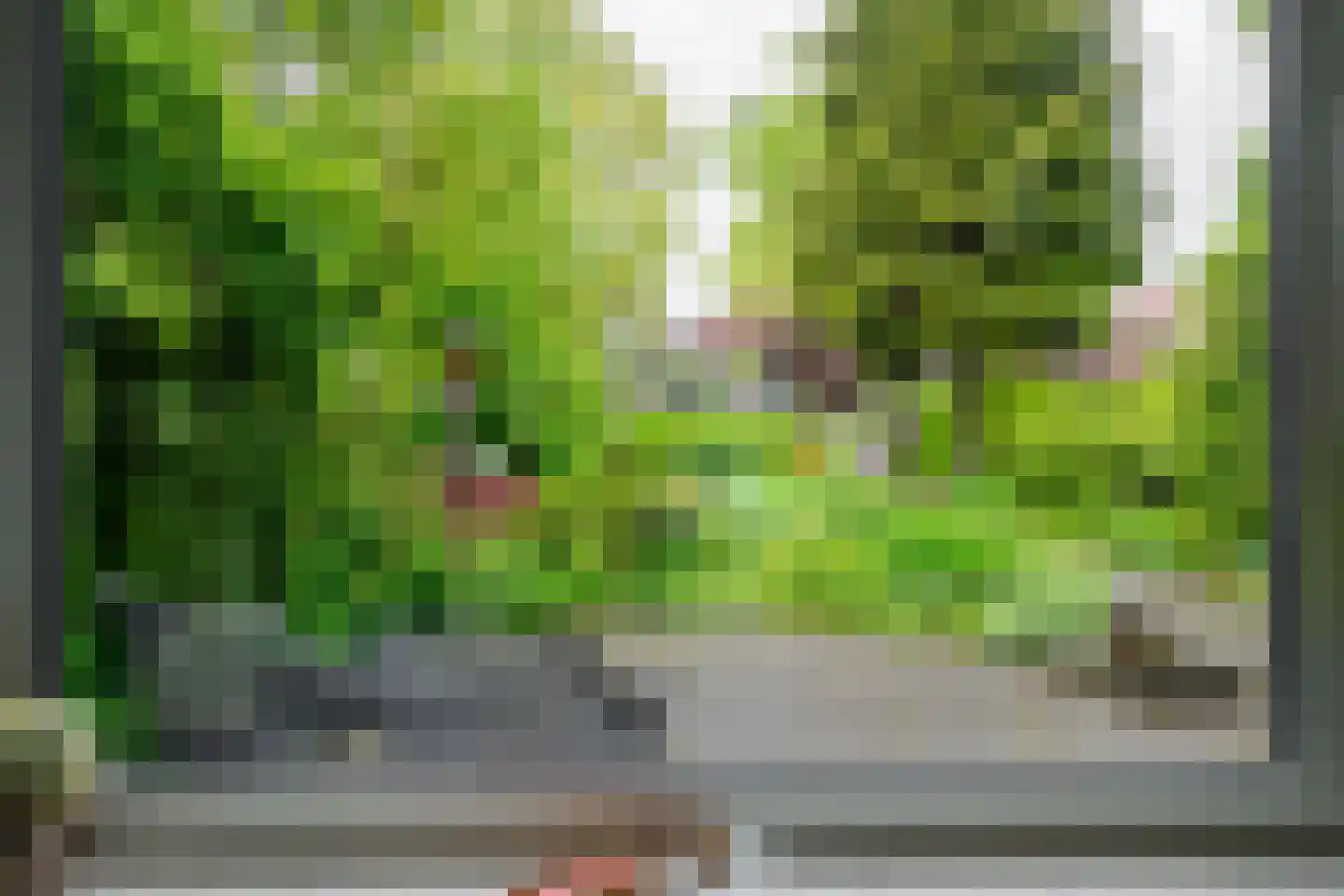Bornsestraat 86 A Hengelo thumbnail 10