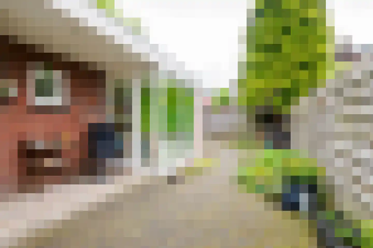 Bornsestraat 86 A Hengelo thumbnail 35