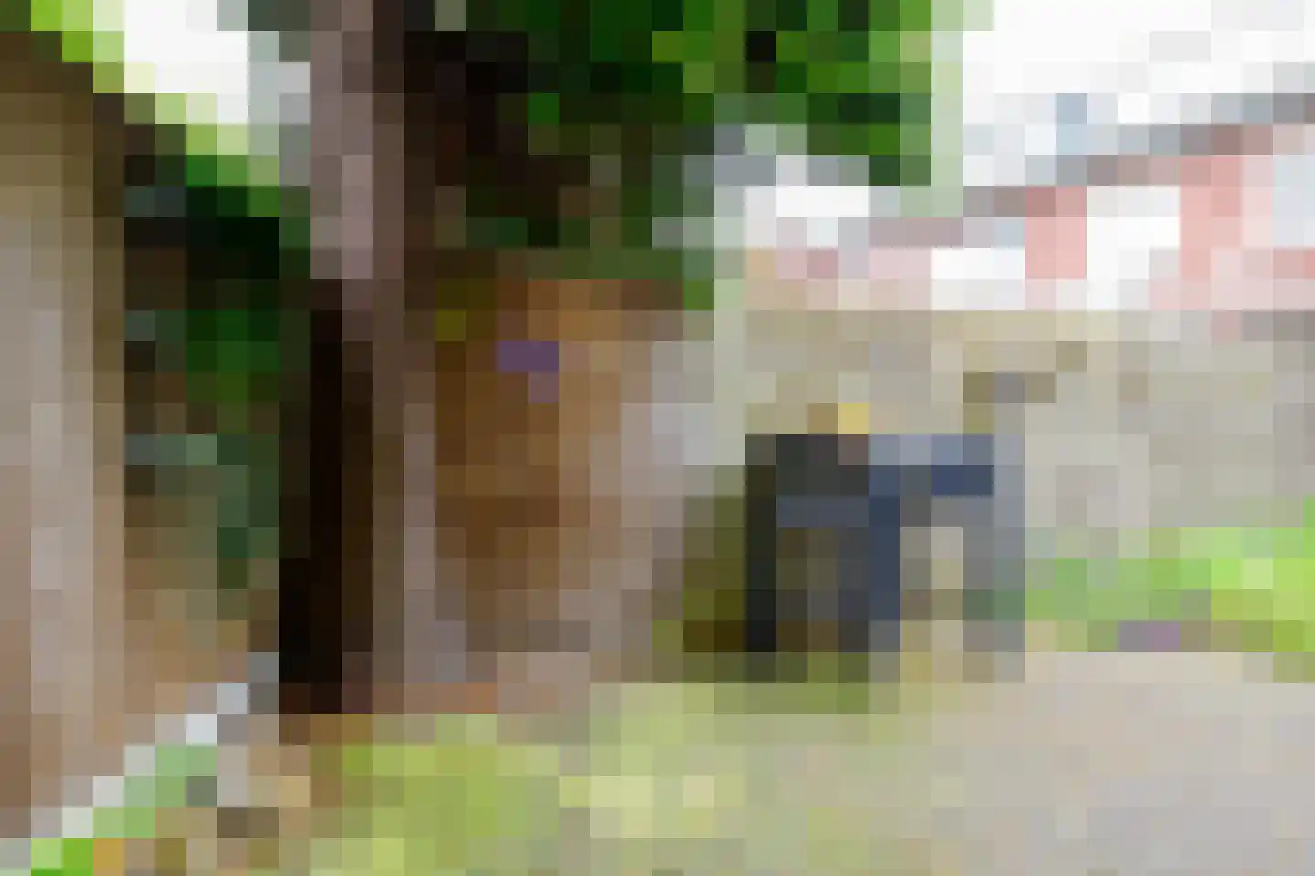 Bornsestraat 86 A Hengelo thumbnail 36