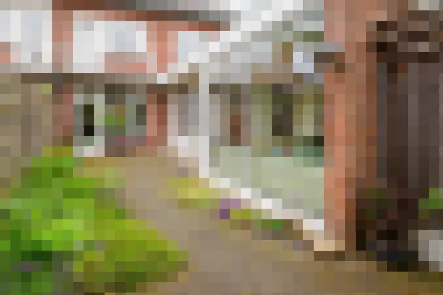 Bornsestraat 86 A Hengelo thumbnail 38