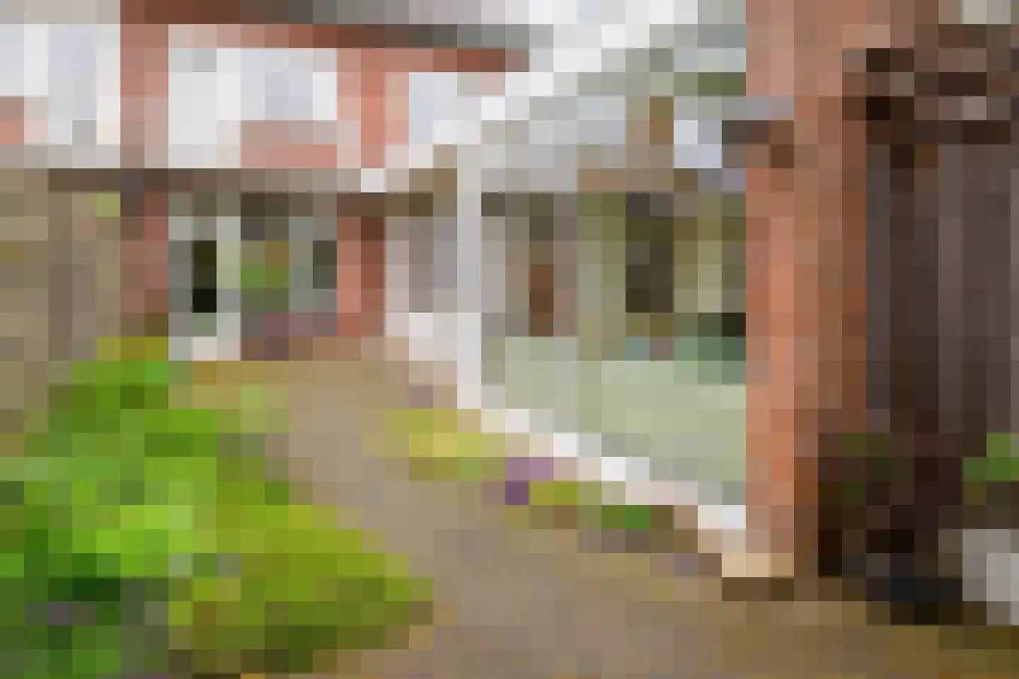 Bornsestraat 86 A Hengelo thumbnail 38