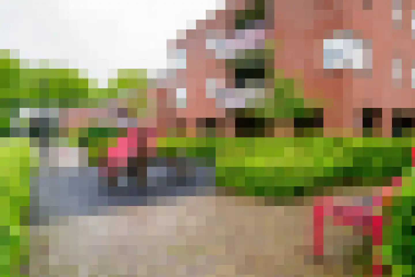 Bornsestraat 86 A Hengelo thumbnail 47