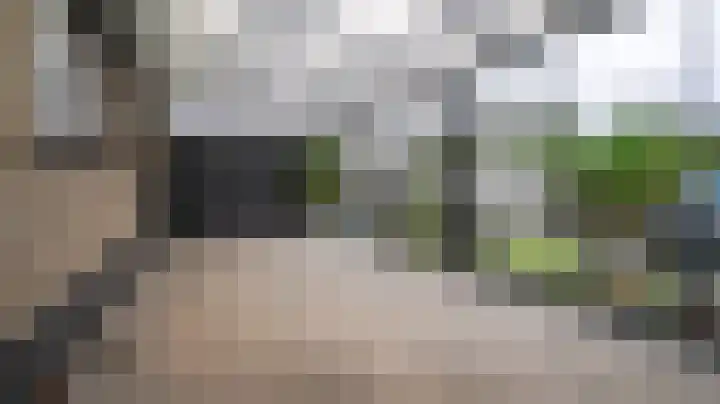 Bornsestraat 86 Almelo thumbnail 52