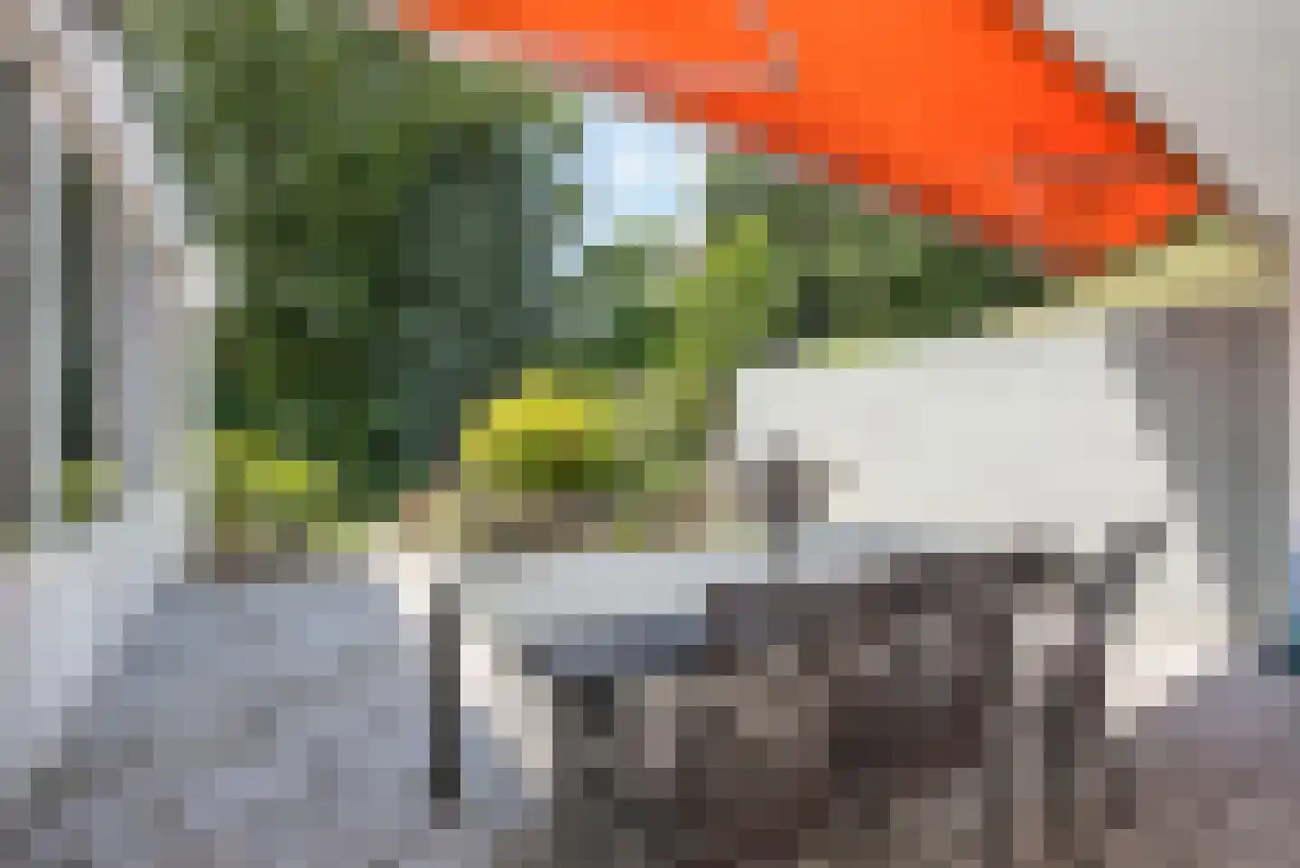 Bornsestraat 89 Hengelo thumbnail 38
