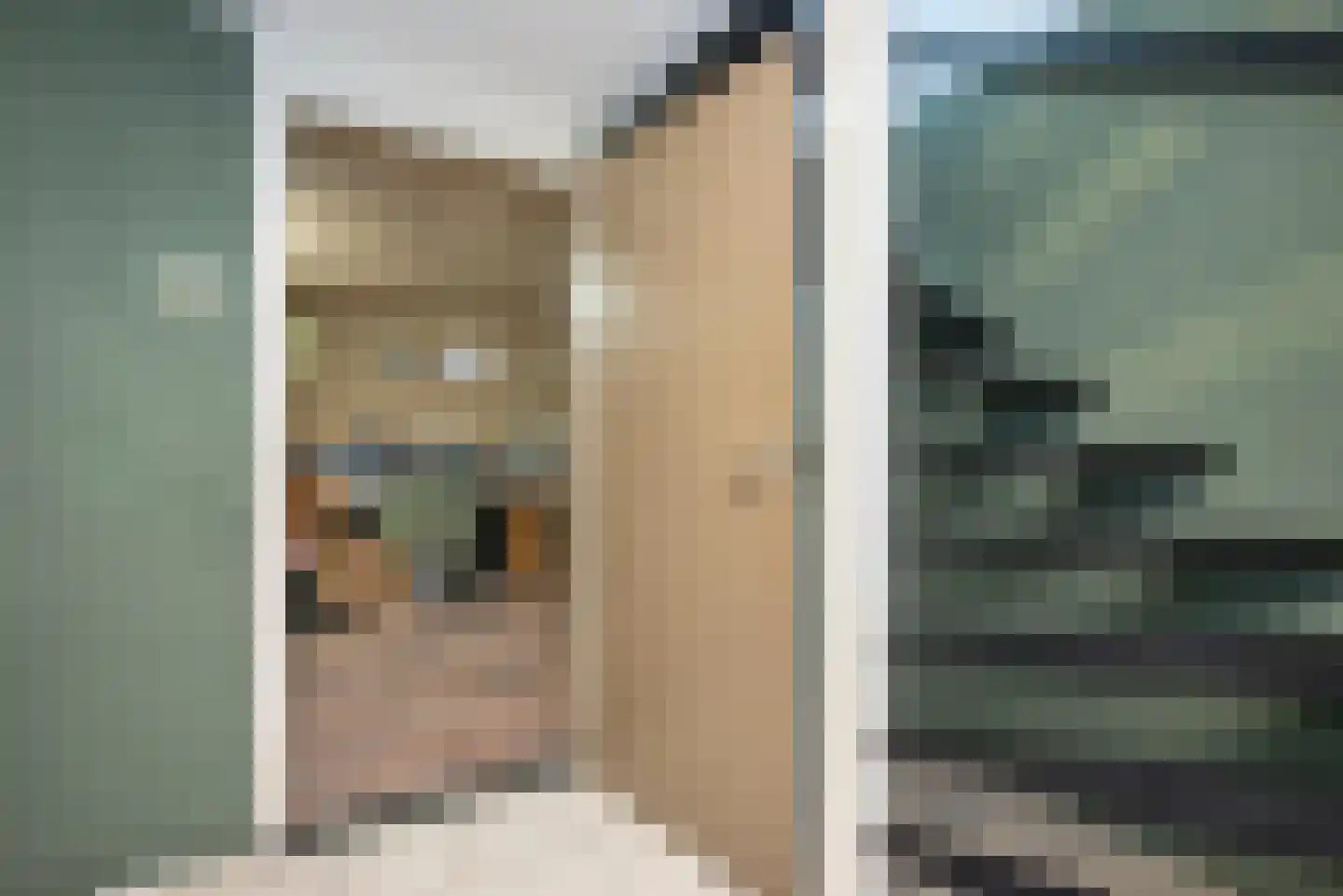 Bornsestraat 89 Hengelo thumbnail 6