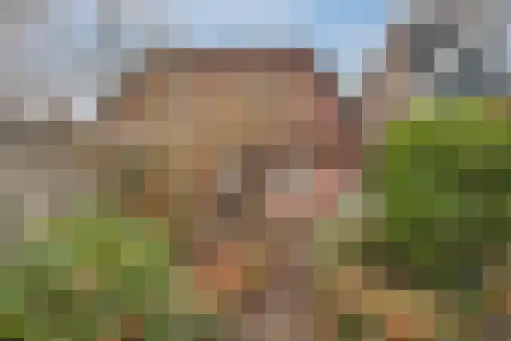 Bornsestraat 90 Hengelo thumbnail 5