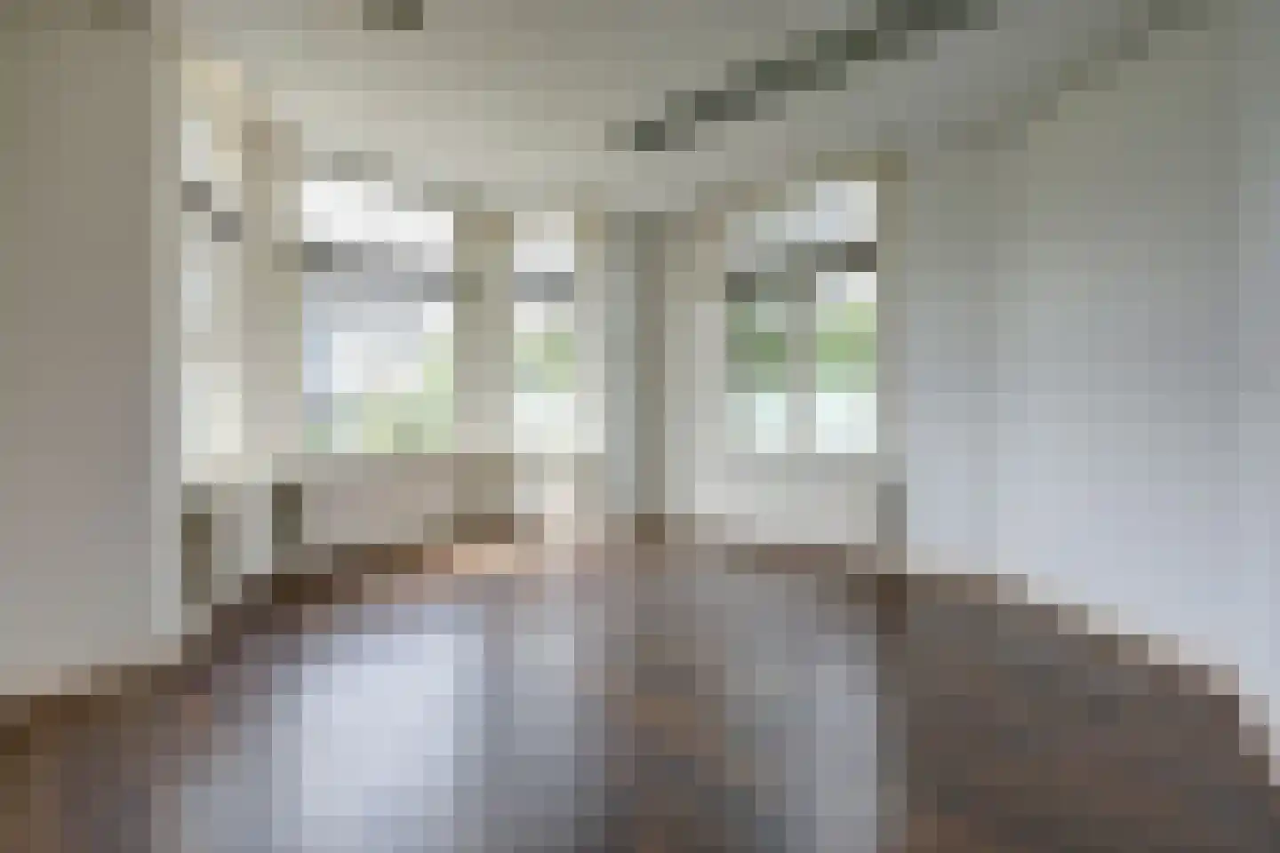 Bornsestraat 98 Almelo thumbnail 13