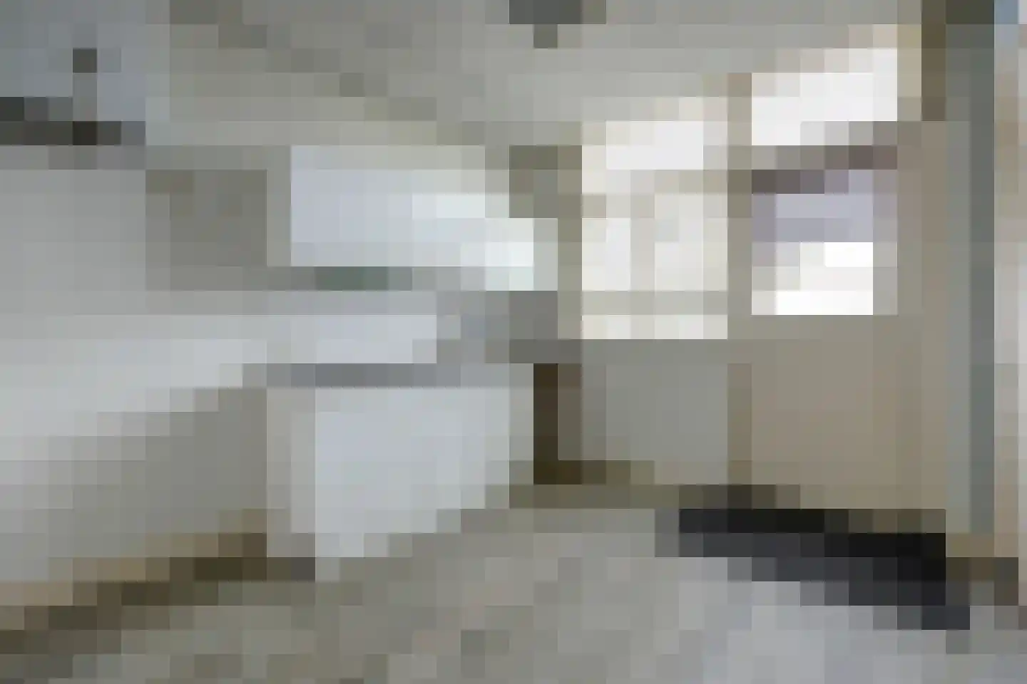 Bornsestraat 98 Almelo thumbnail 15